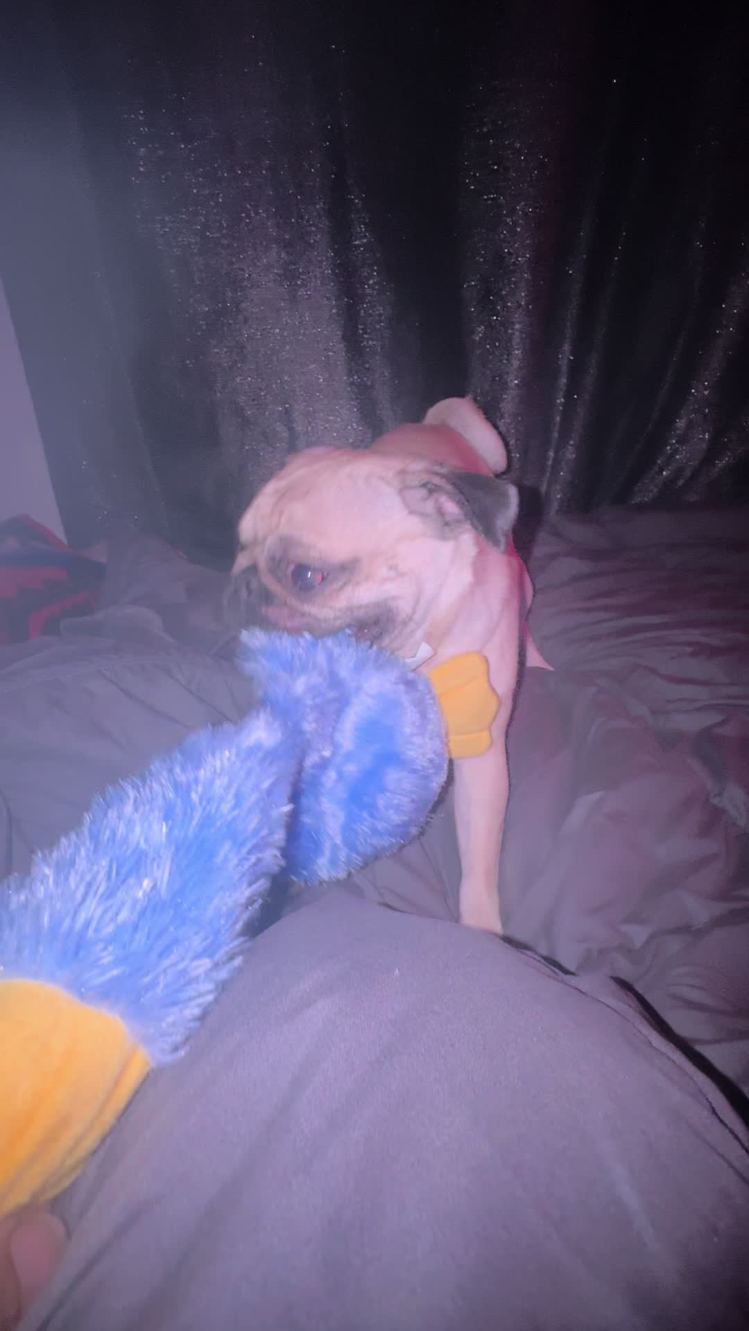 @twodee