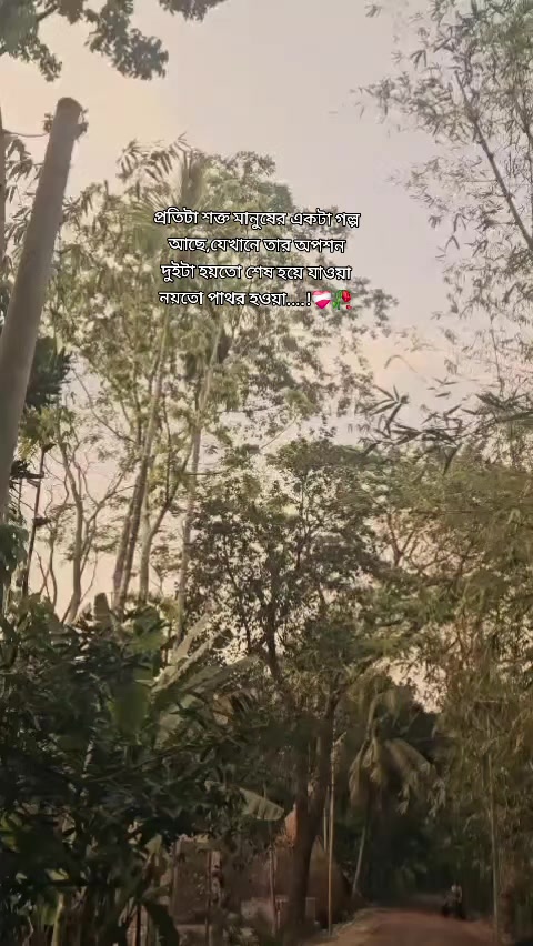 @rafia_kabir