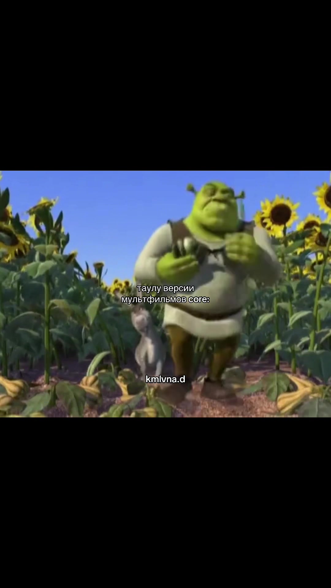 @-𝟏𝟑 ᨒ