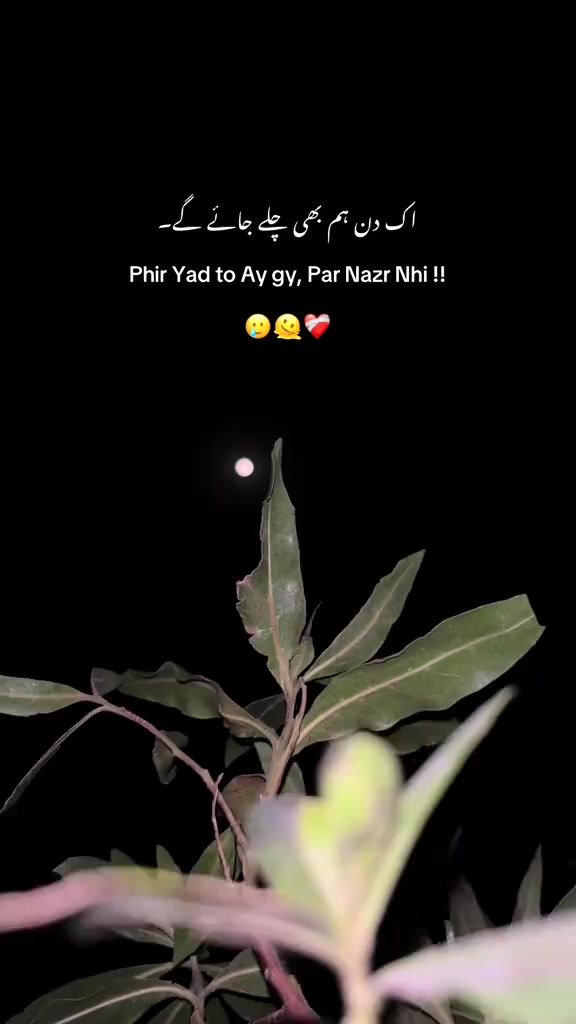 @Tayyab Khan