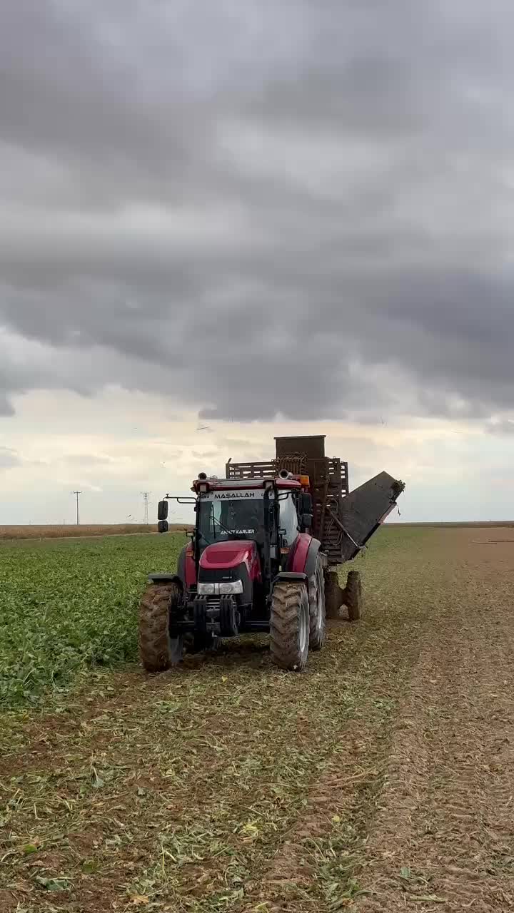 @Ahmet karlıer