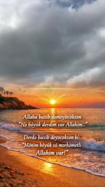 @ElVİN SÜLEYMANOV