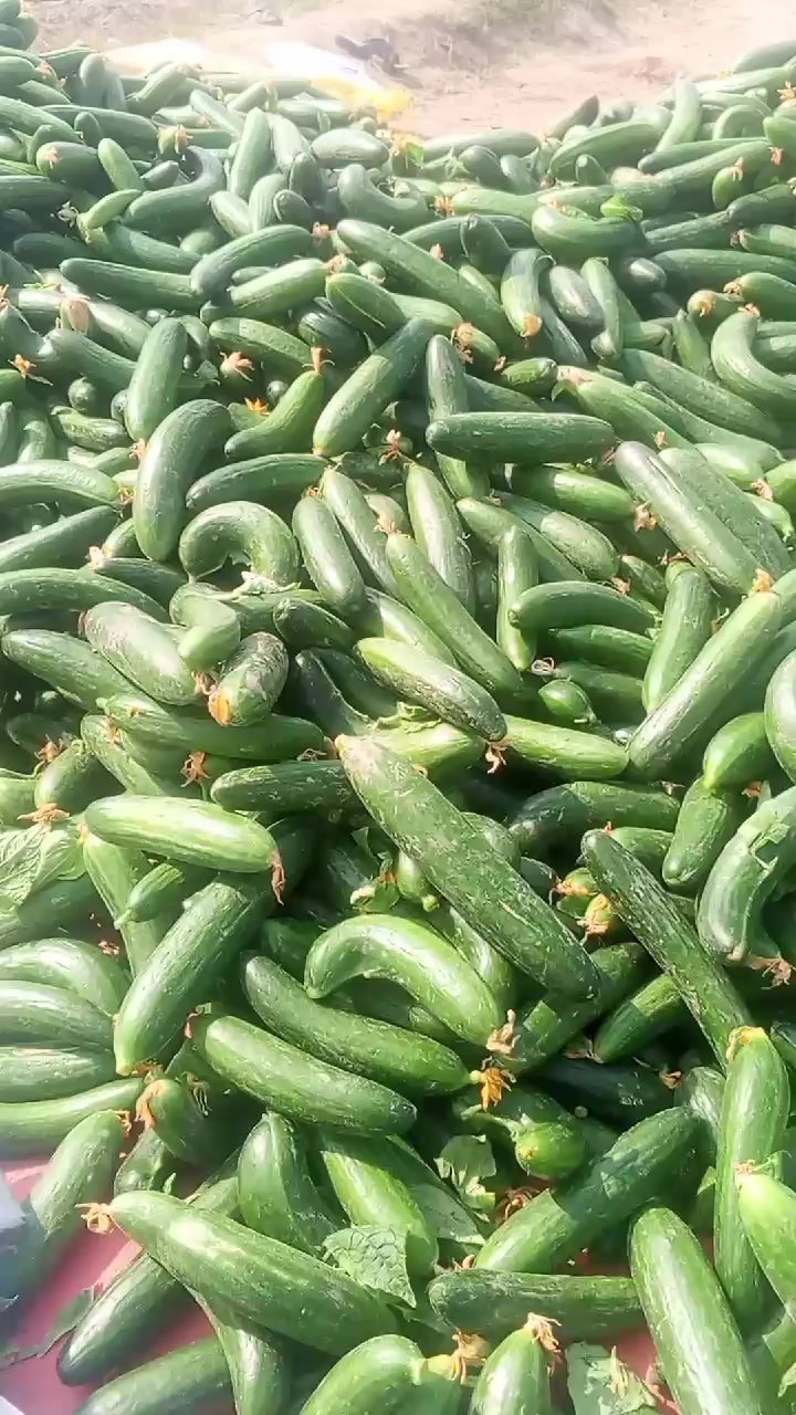 @حسنی