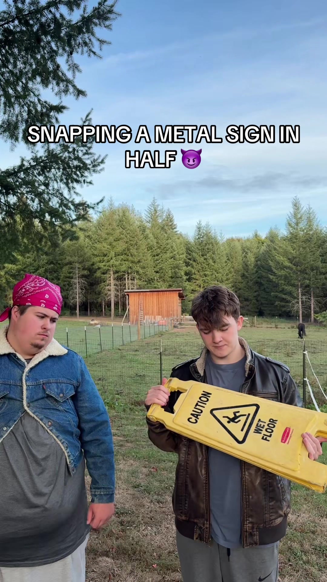 @wybielolll