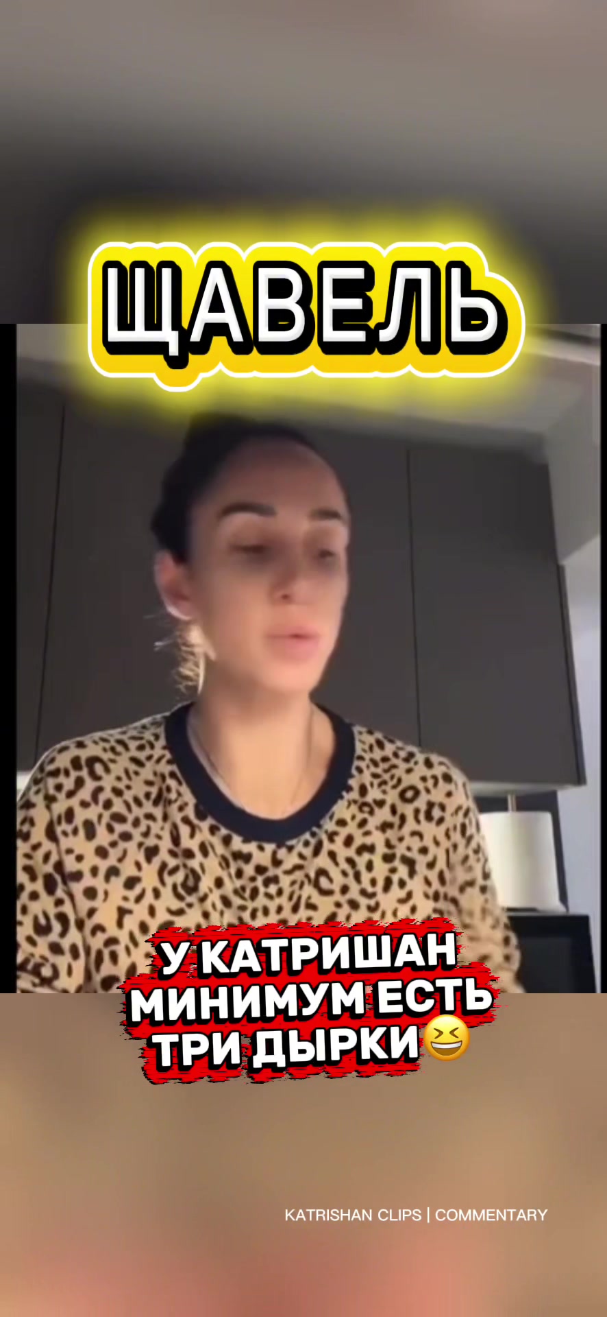 @Katrishan Commentary
