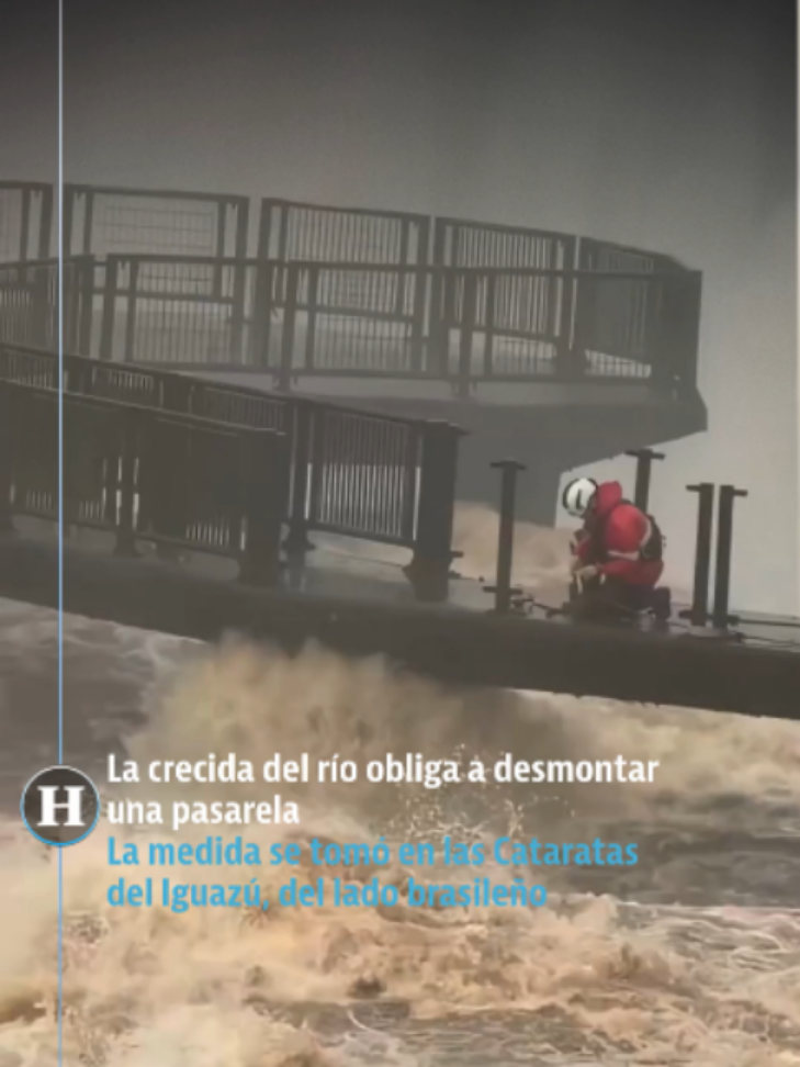@elheraldodemexico