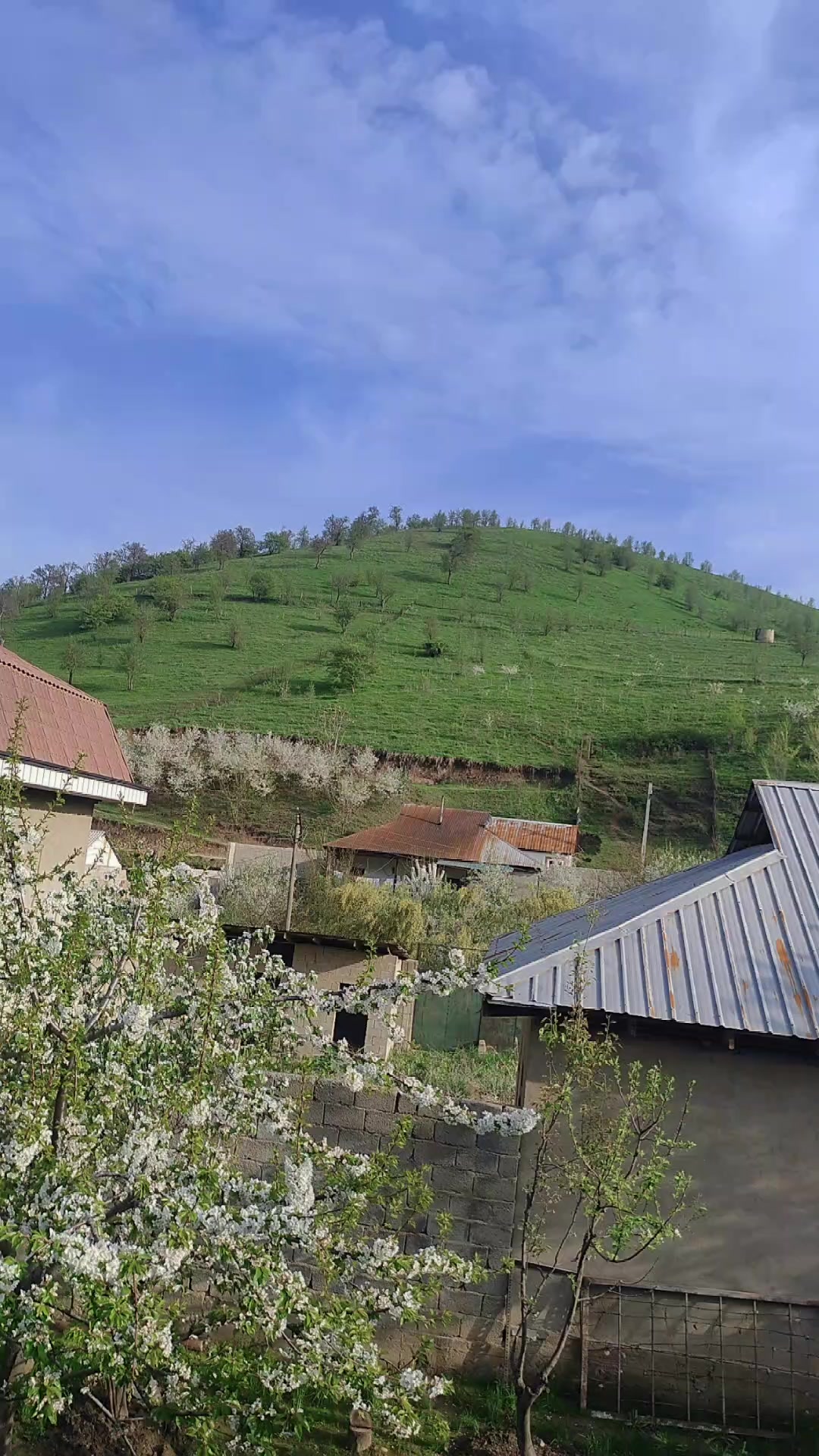 @nozanin050