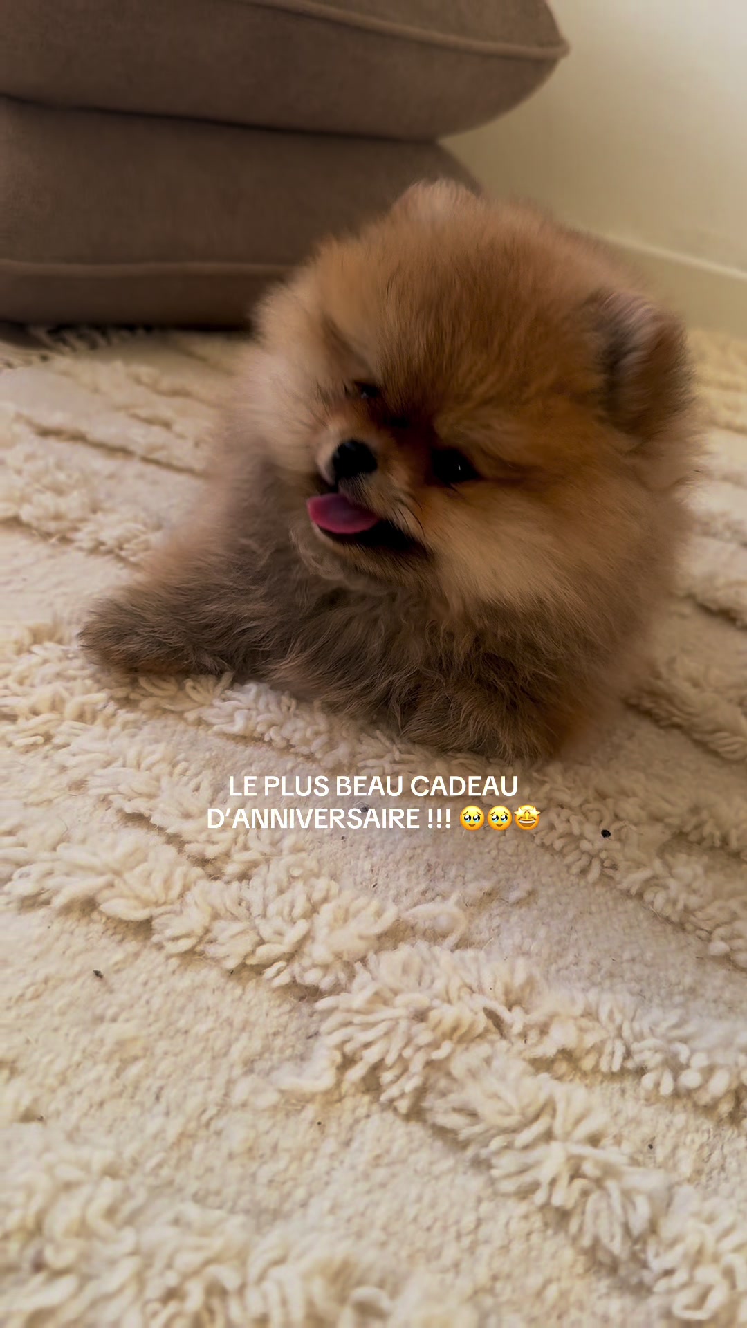 @Manon✨