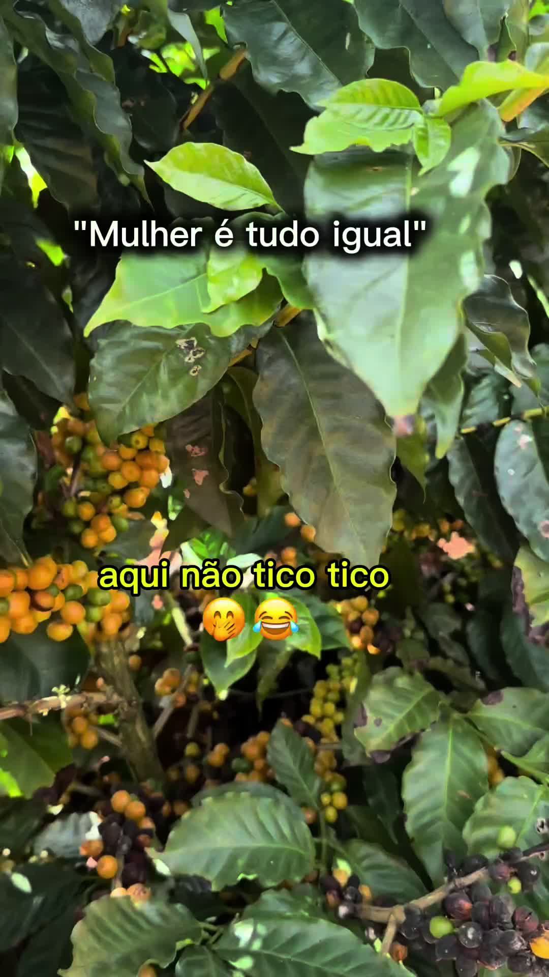 @Natalia Pereira gil