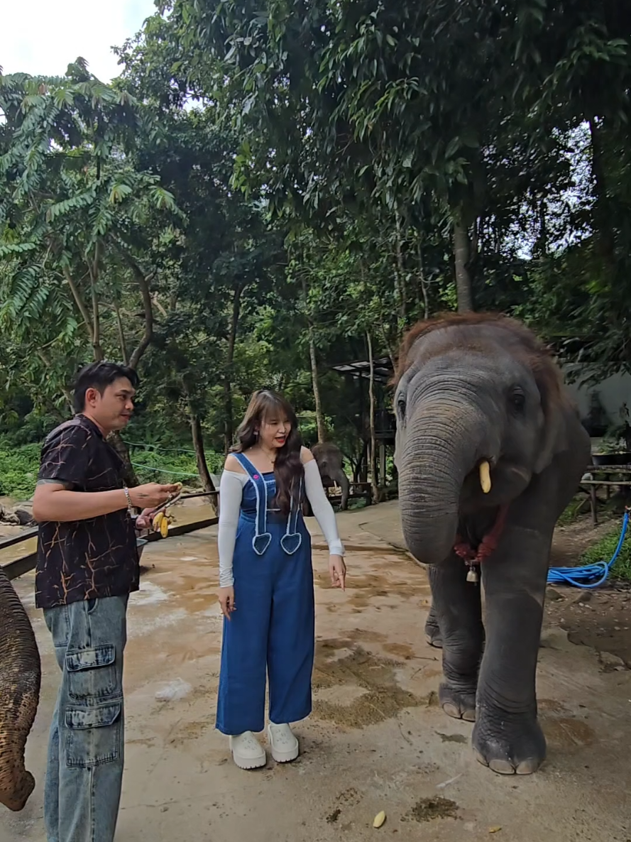 @ควาญแดง พลายภูพิงค์