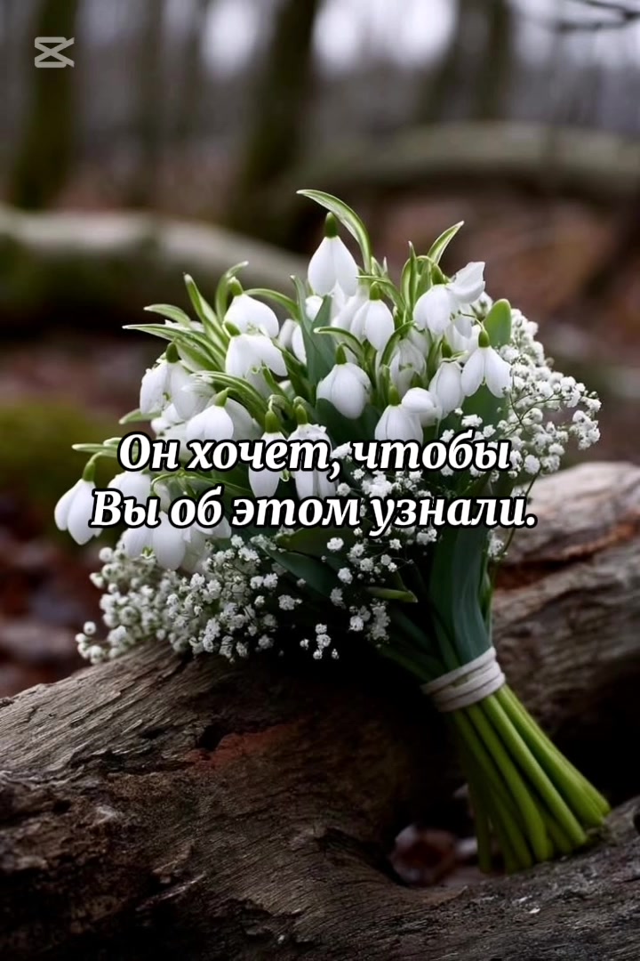 @Polli