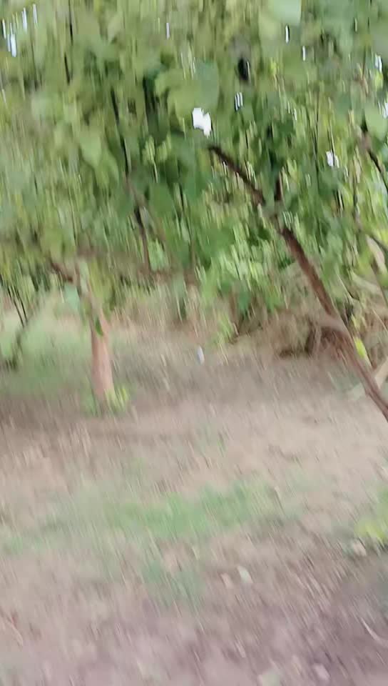 @Asadarain176