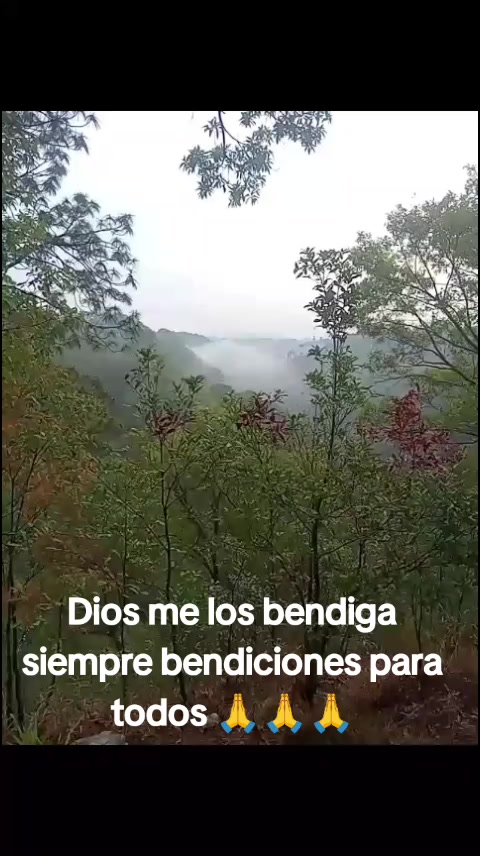 @Rebeca Chen