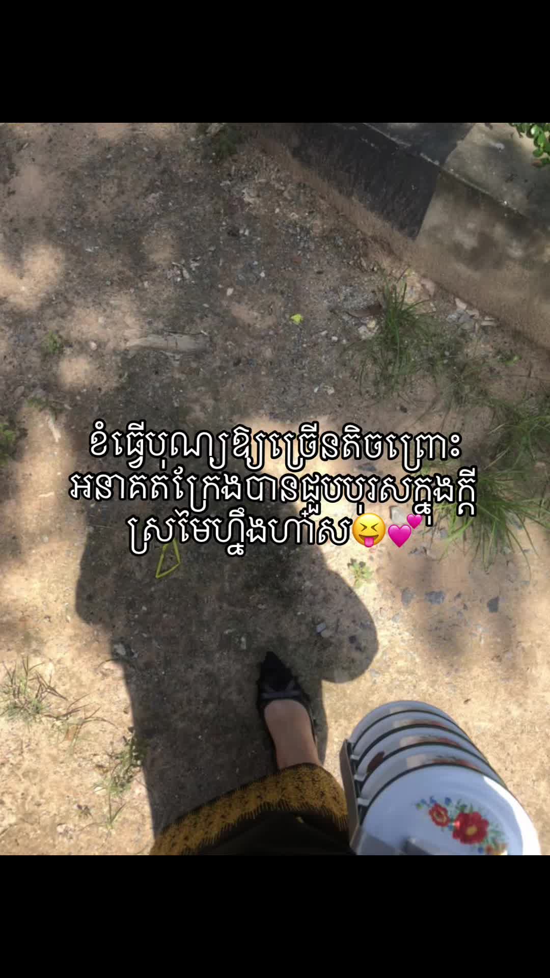 @batviewsnhtvna