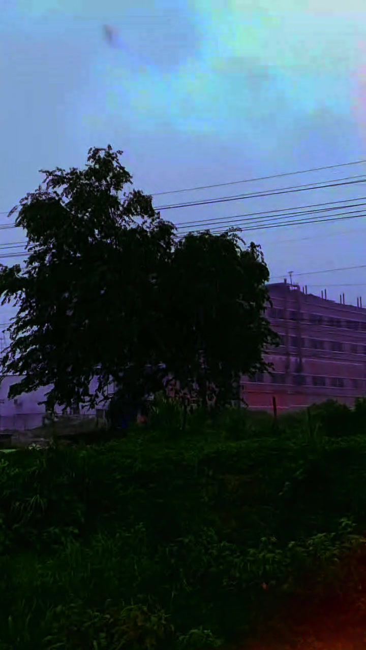 @Kazi Shohag