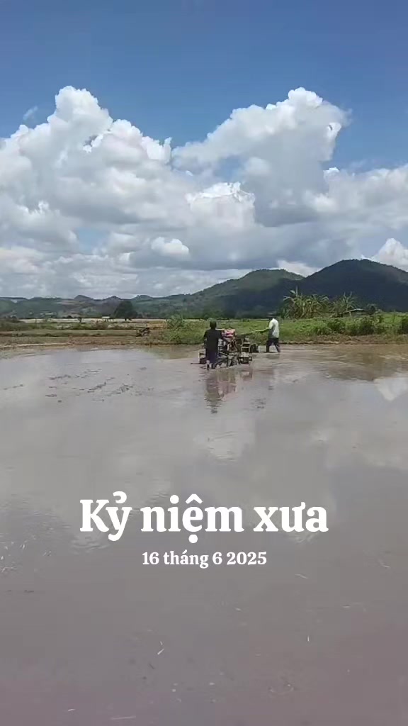 @@Ama &yacute;
