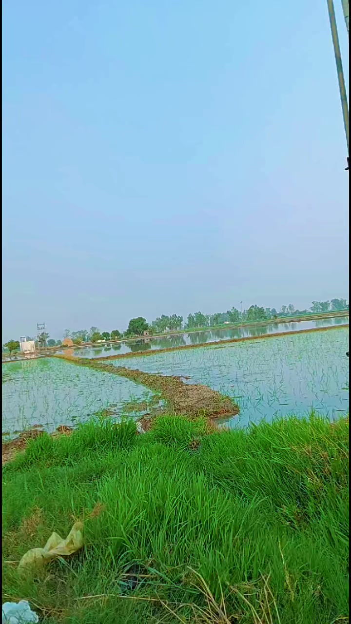@chaudhary saab