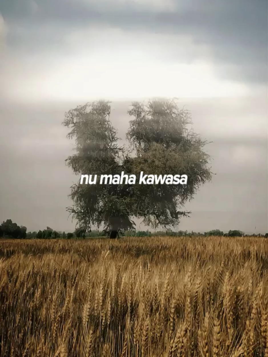 @SEMPURNA&bull;