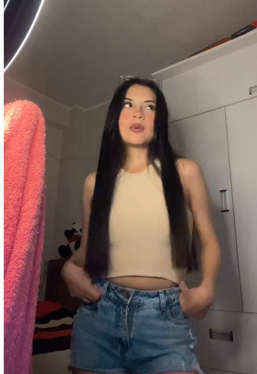 @brisa