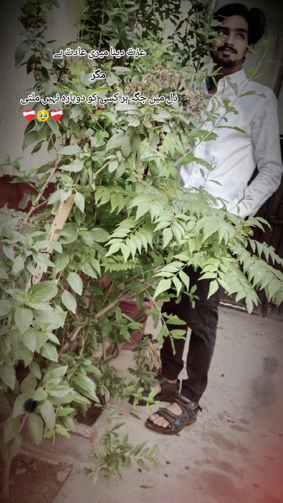 @مـــــــغــــــل زادہ