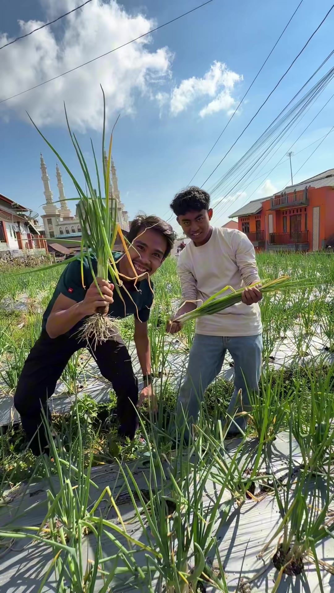 @Purbalingga