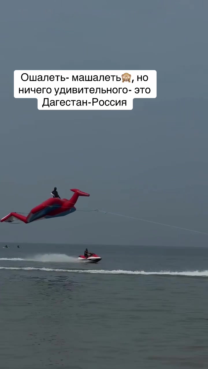 @Жужа и ее друзья