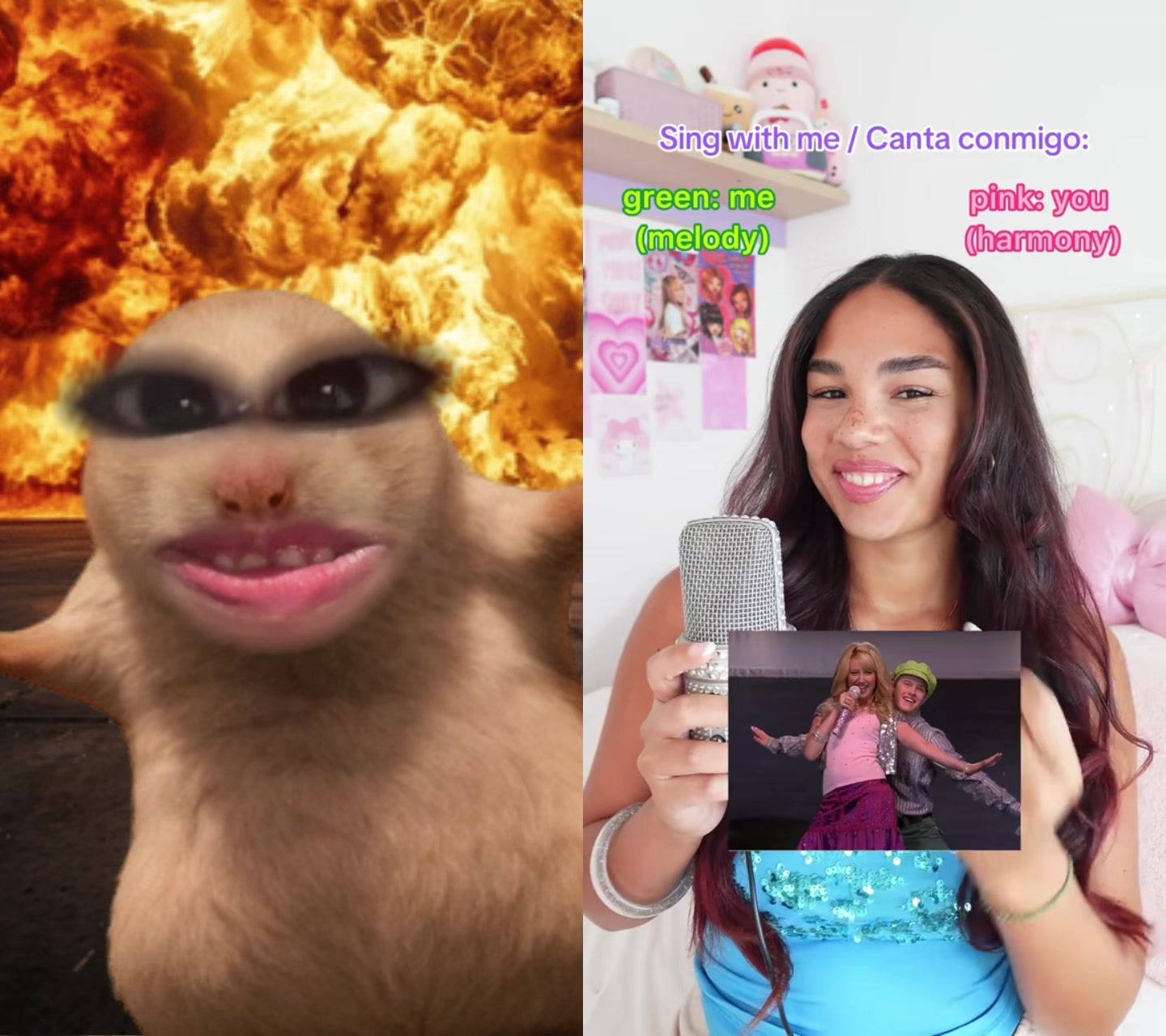 @hoomanpiggy
