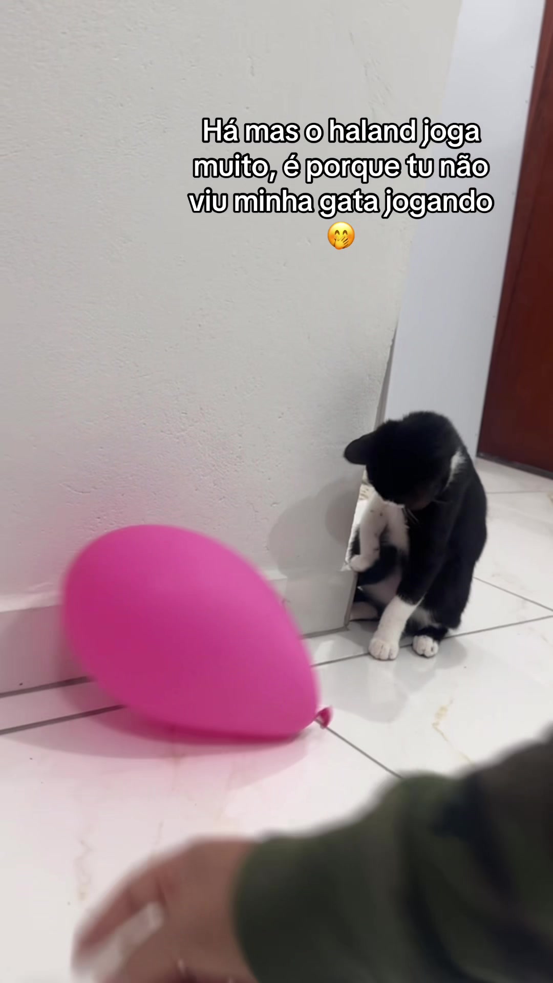 @Fer_Sousa