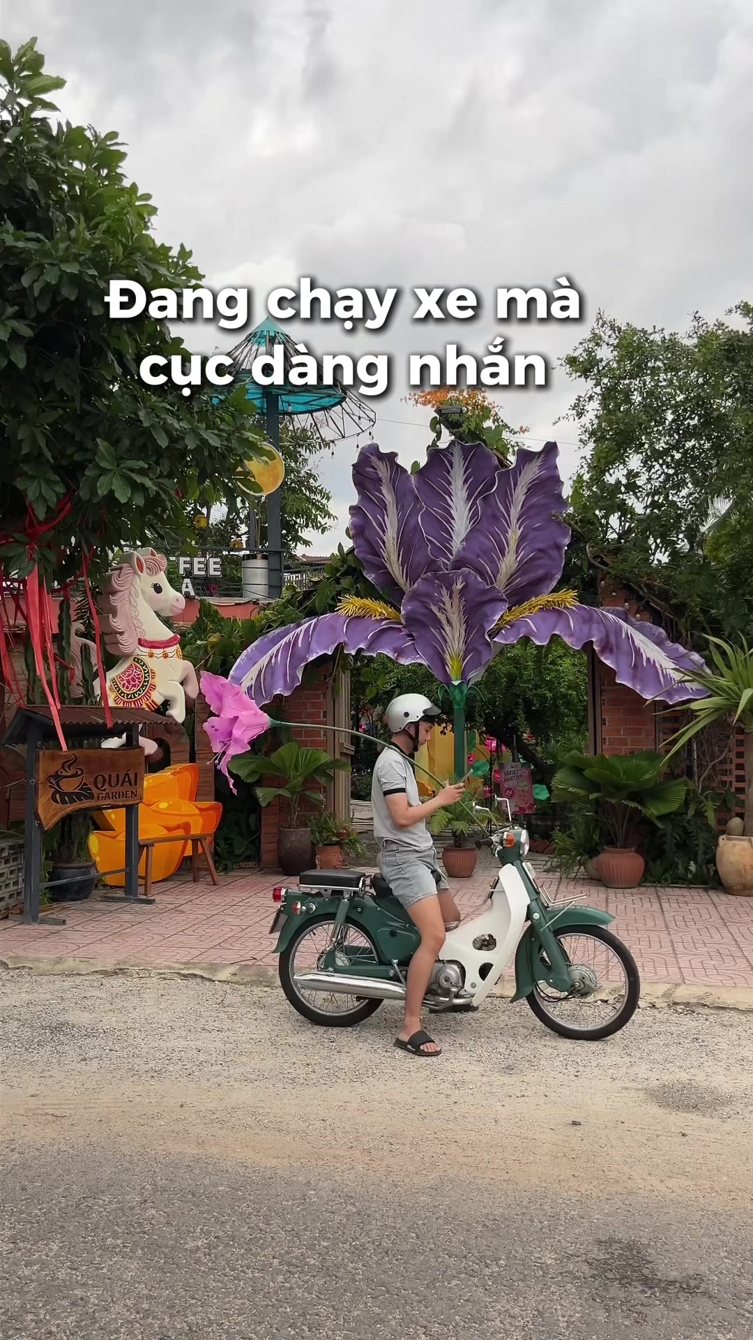 @Tây Ninh Có Gì ?