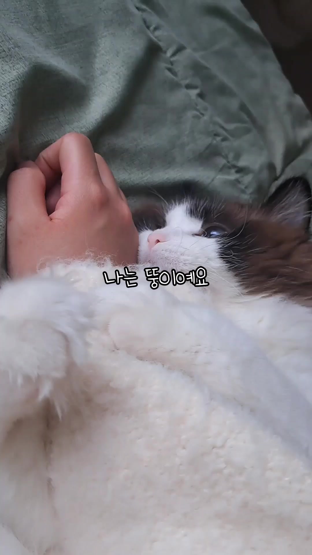 @ddoong2(๋ฑ์ด)