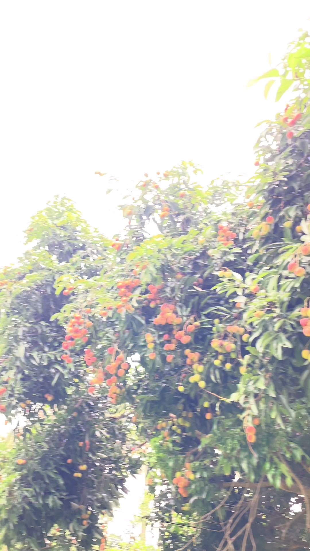 @SANTOSH KADARIYA