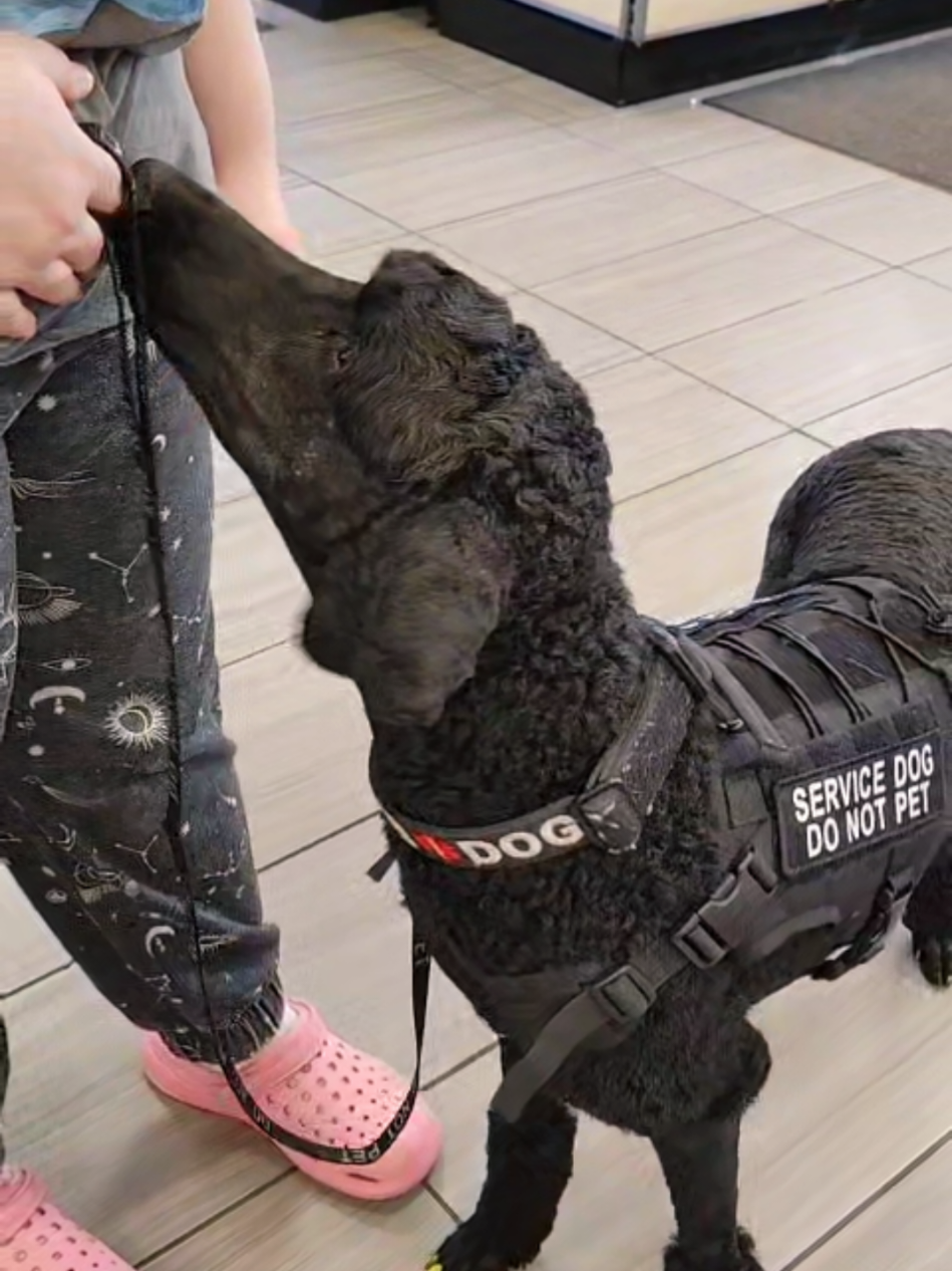 @Canine Wonders Training