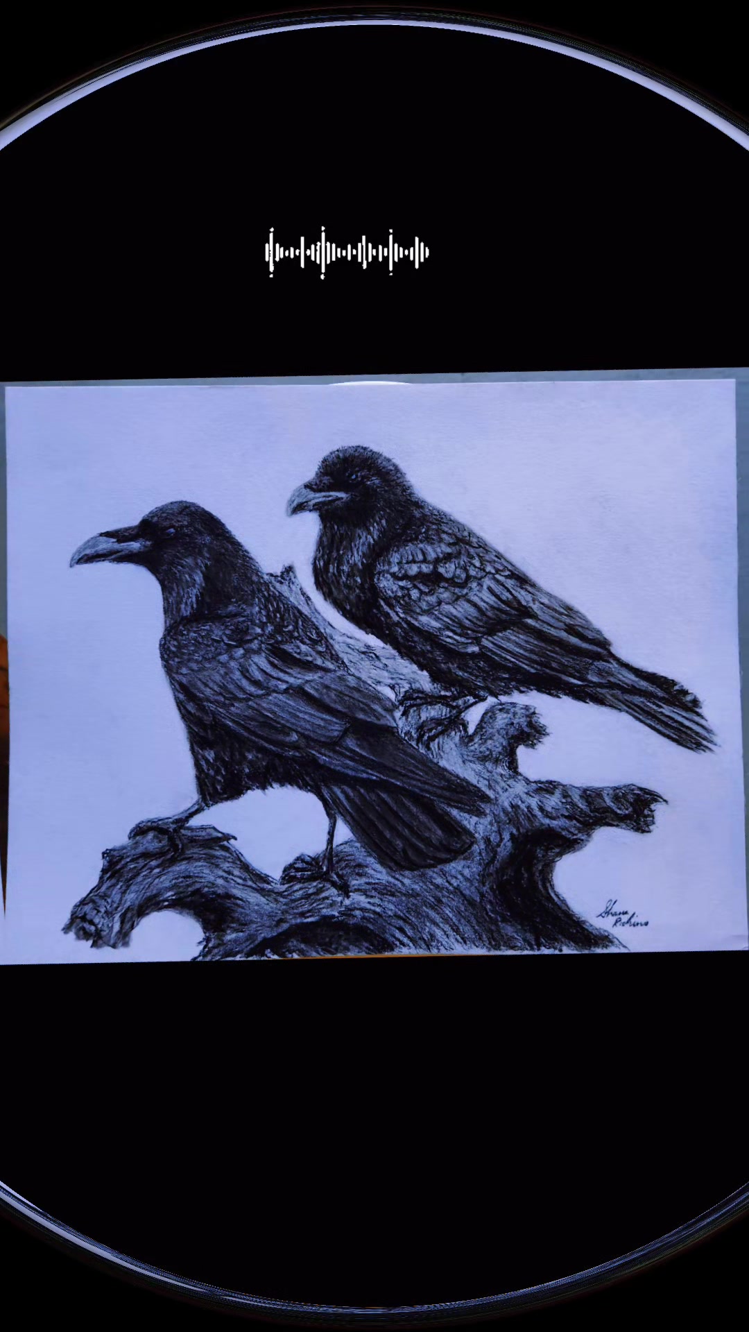 @Shanesart4u