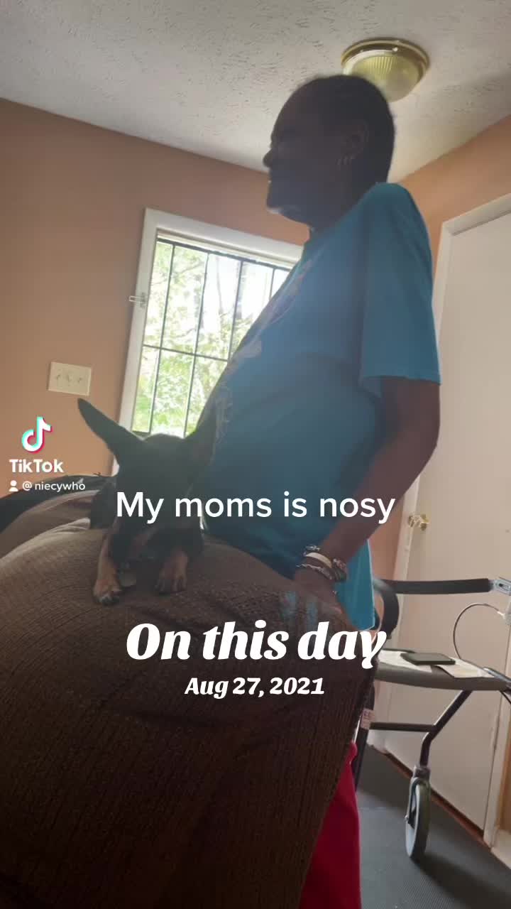 @niecywhat