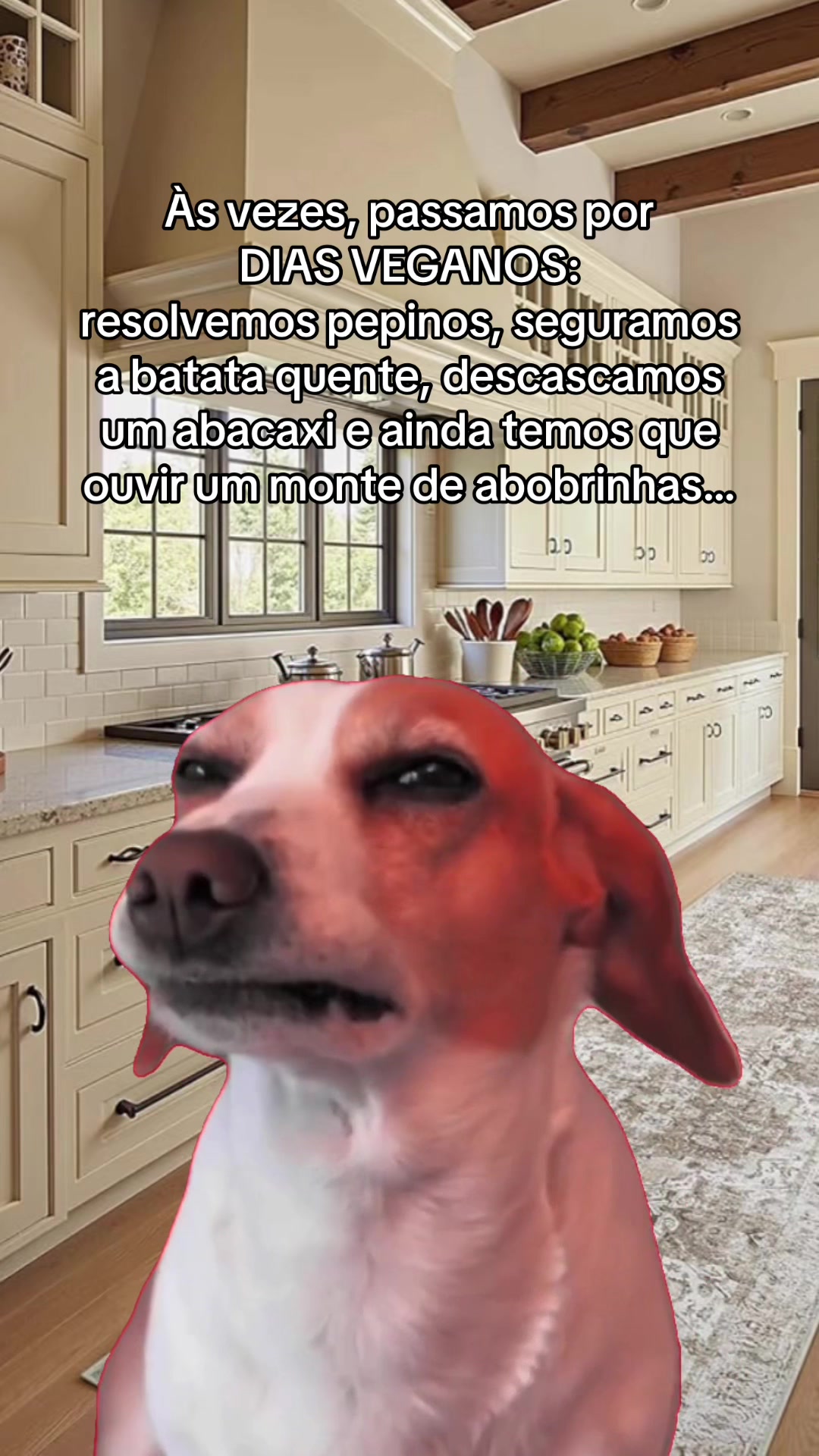 @tababadeira