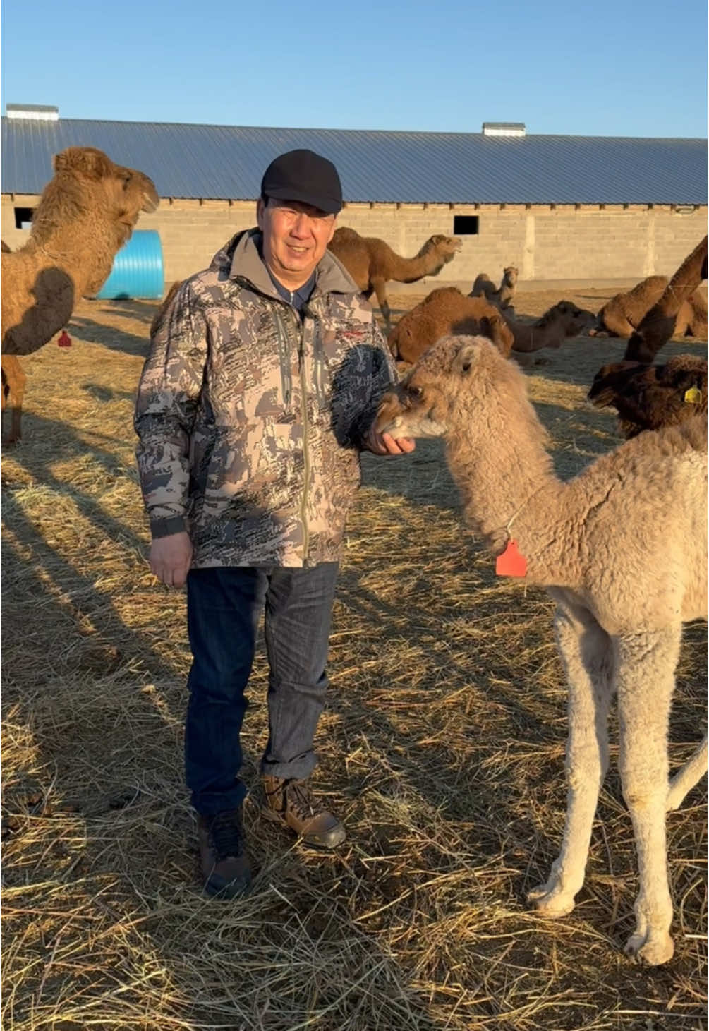 @Сыдық Даулетов