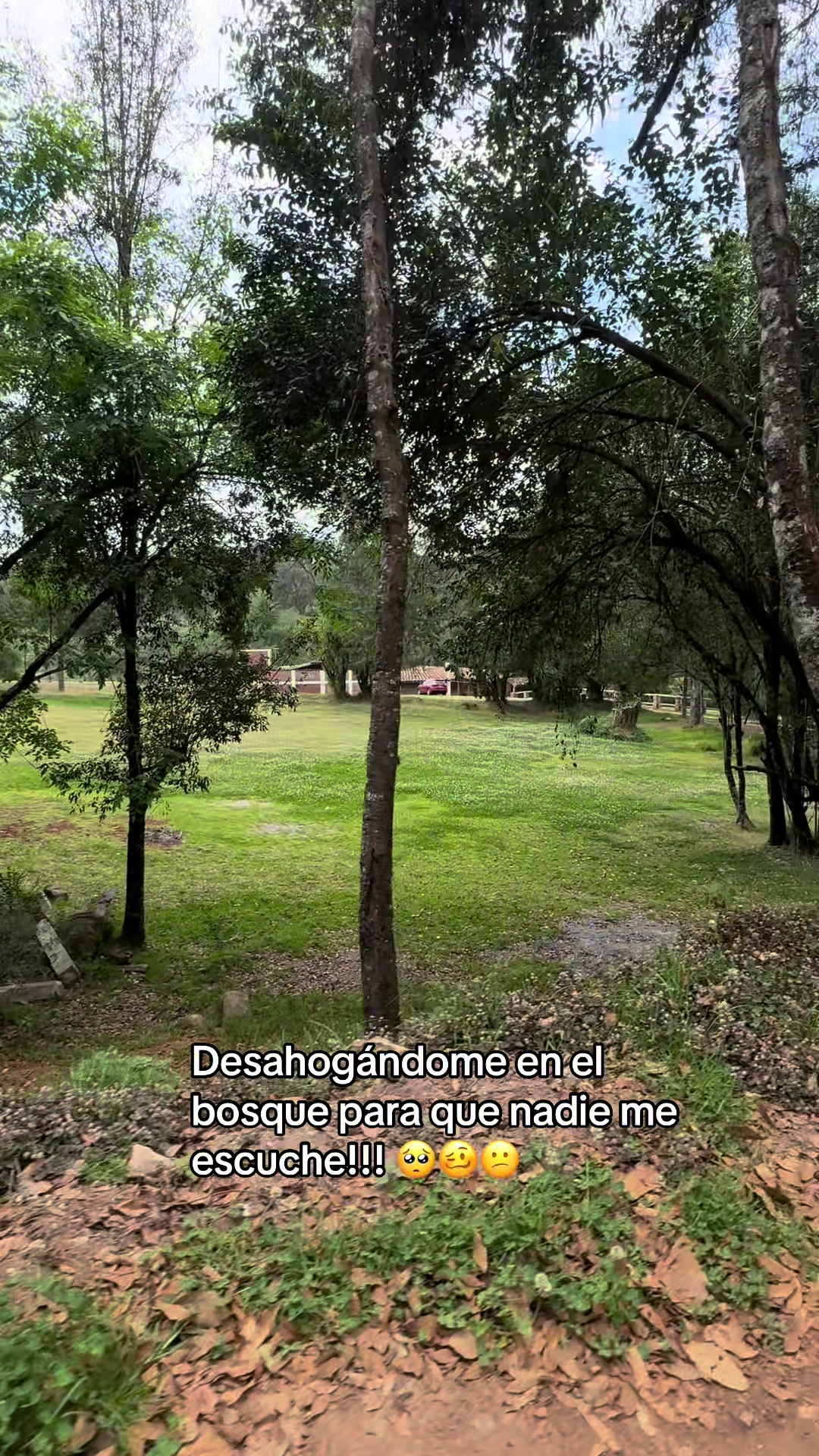 @Nick Vela Tapia