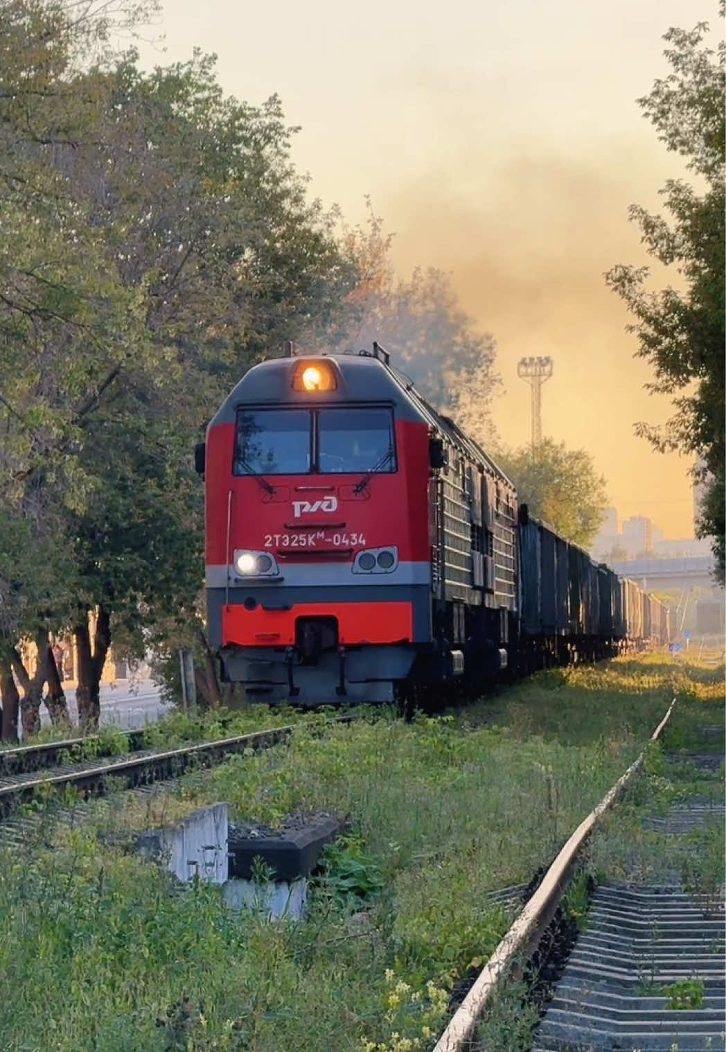 @Limon4ik 🛤️