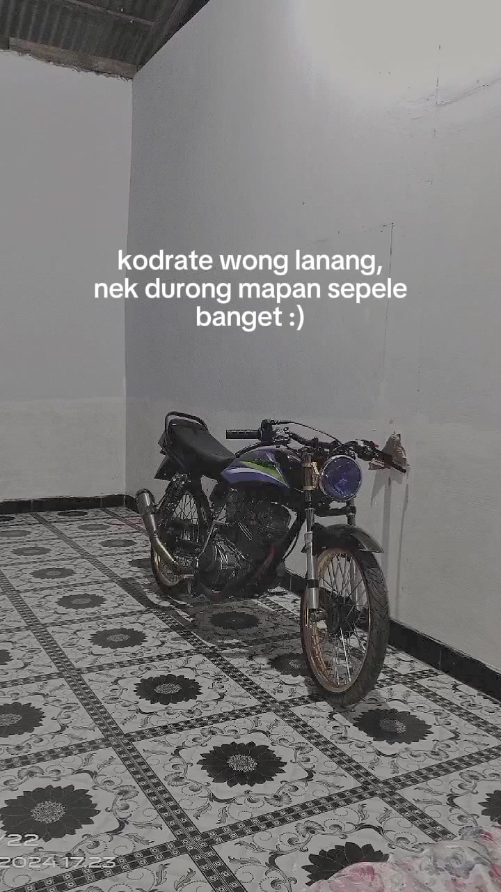 @RT🐥