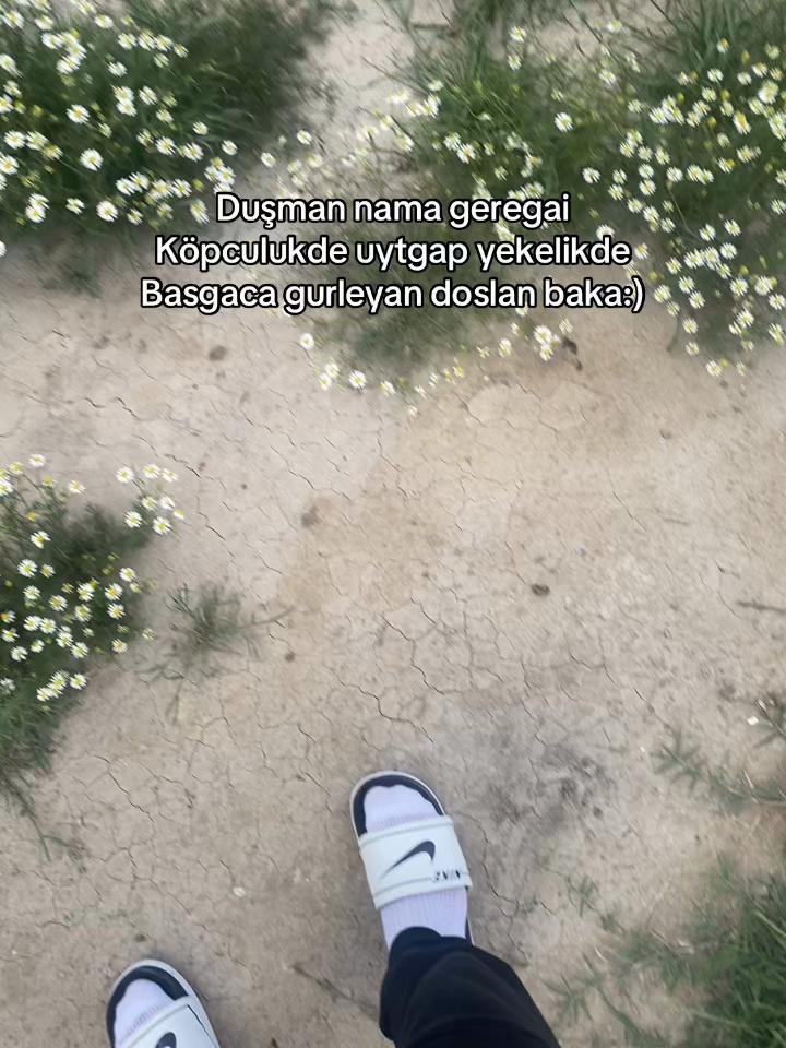 @𝓡𝓮𝓼𝓾𝓵𝓸𝓿_ 