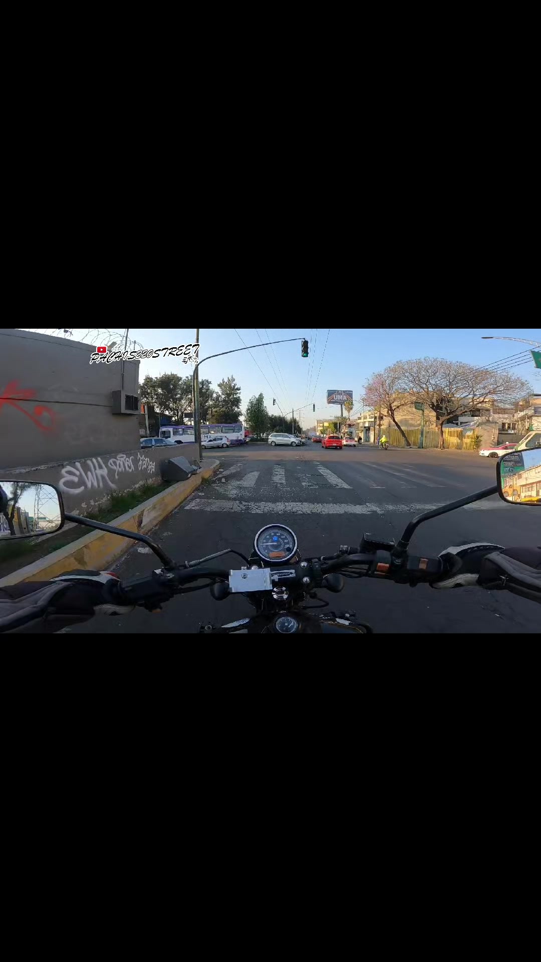 @Pachis220