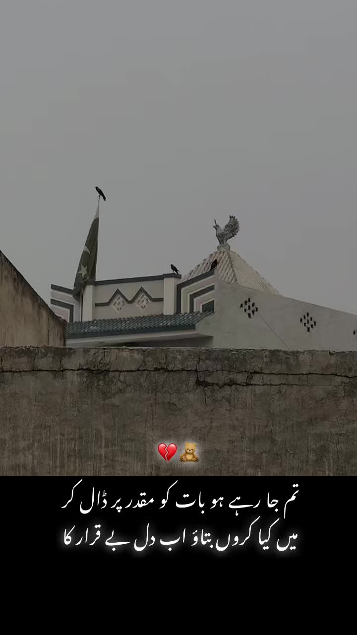 @Dr شیبی 🧑⚕️🩺