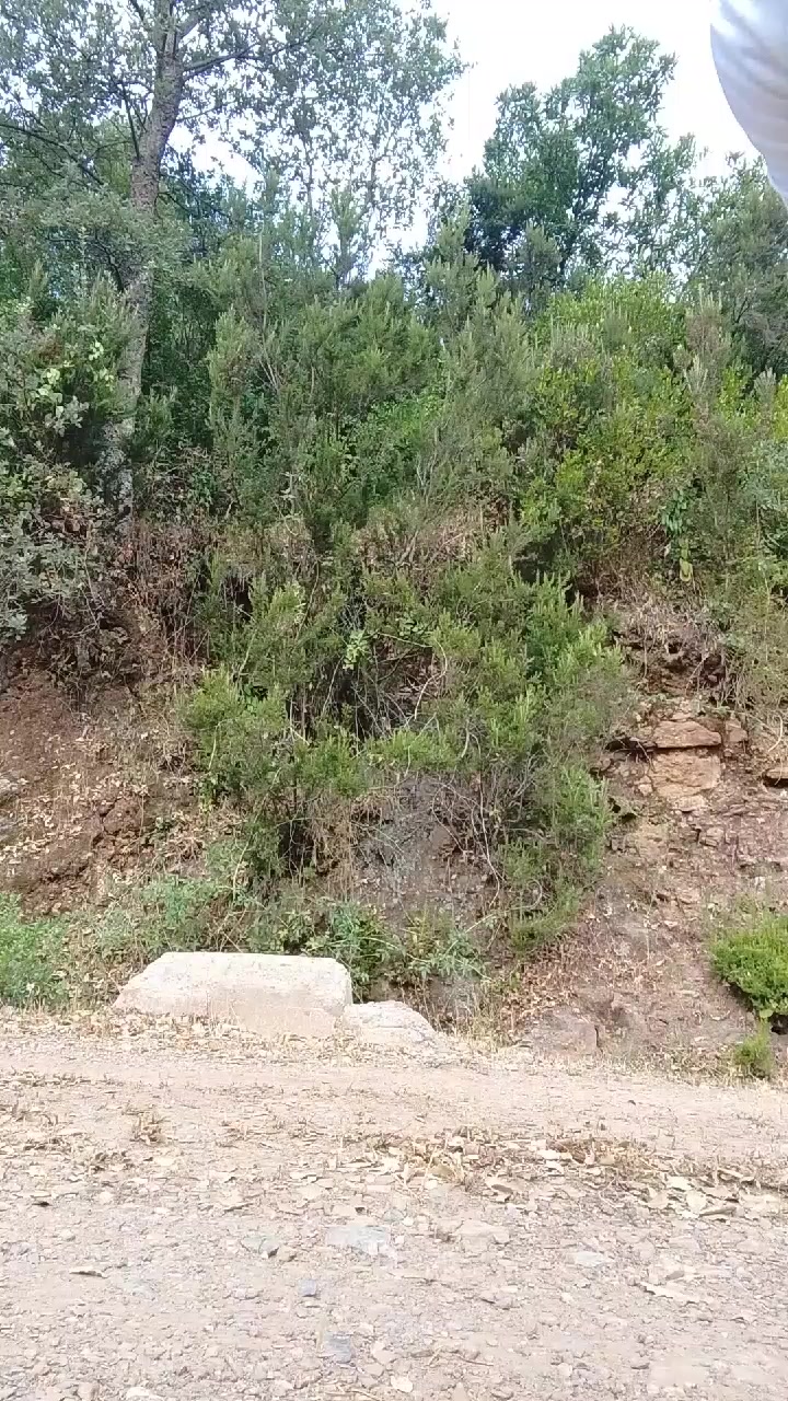 @قناة التوحيد