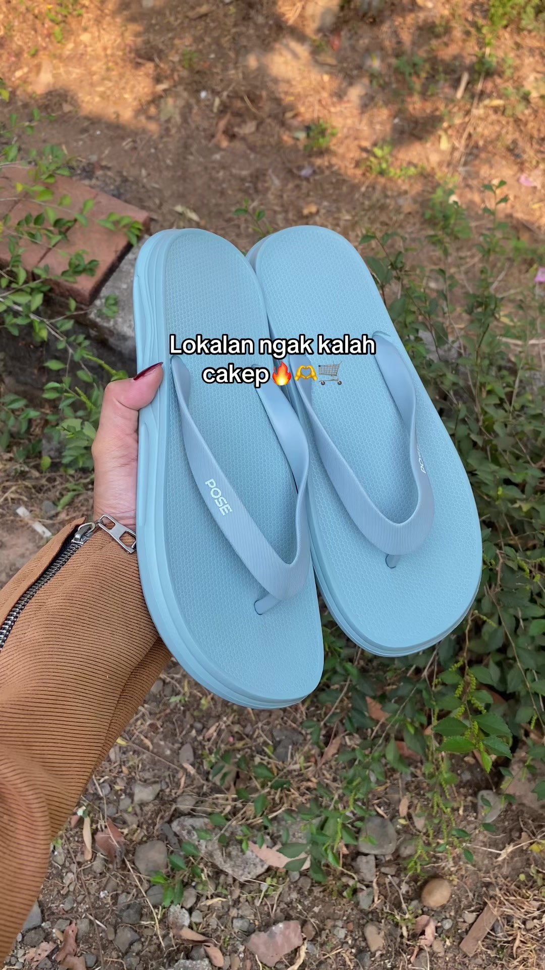 @Dms collect