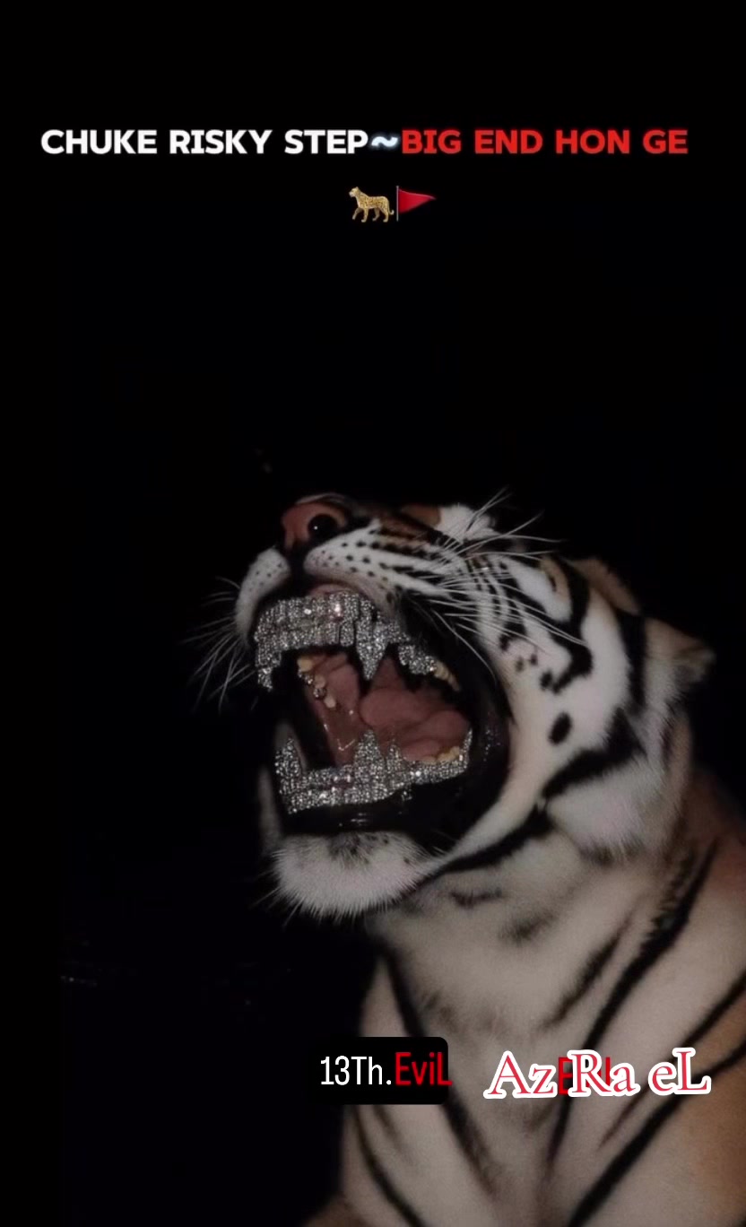 @☬𓂀𝟙𝟛t͎h͎☠︎ ☬𝐀𝐳𝐫𝐚𝐞𝐋☬🩸