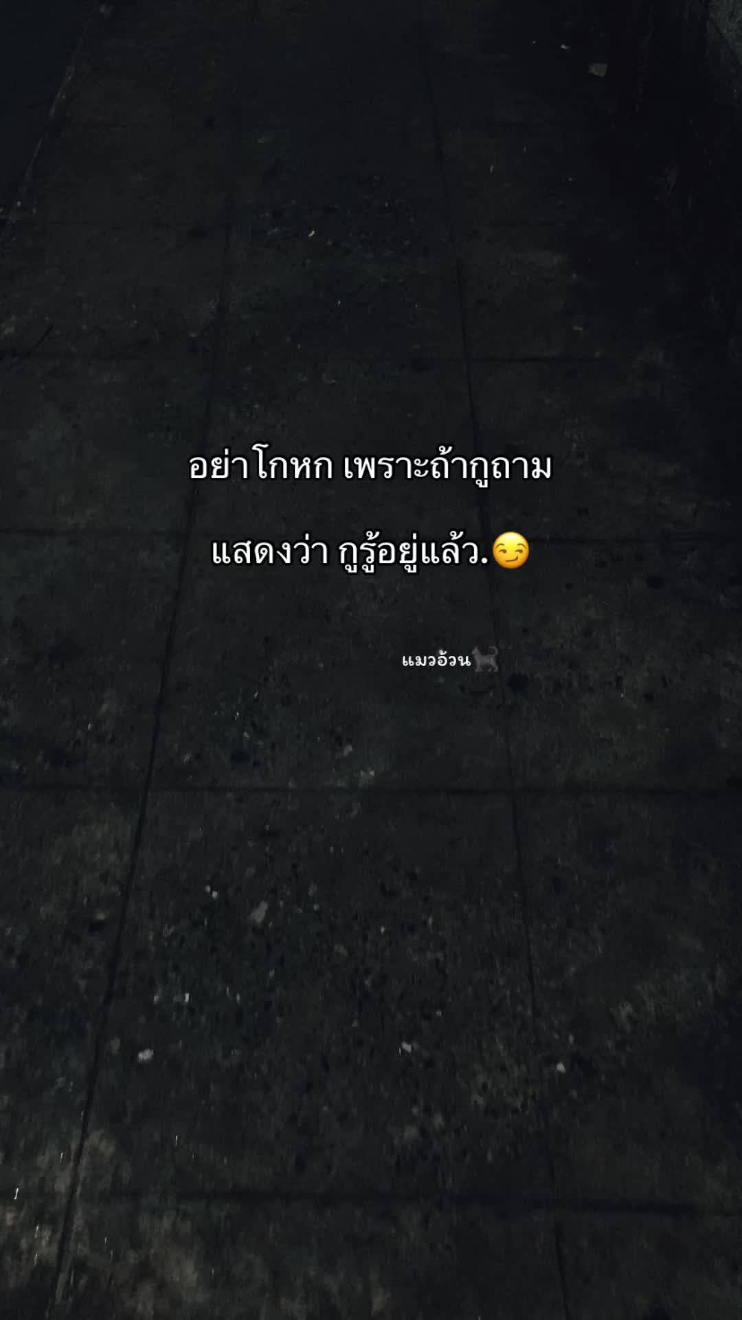 @แมวอ้วน🐈⬛