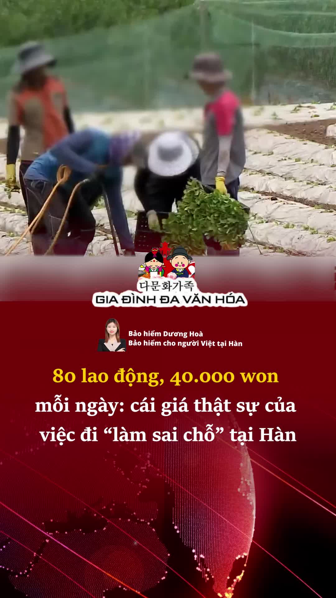 @다문화가족 - GIA ĐÌNH ĐA VĂN HÓA