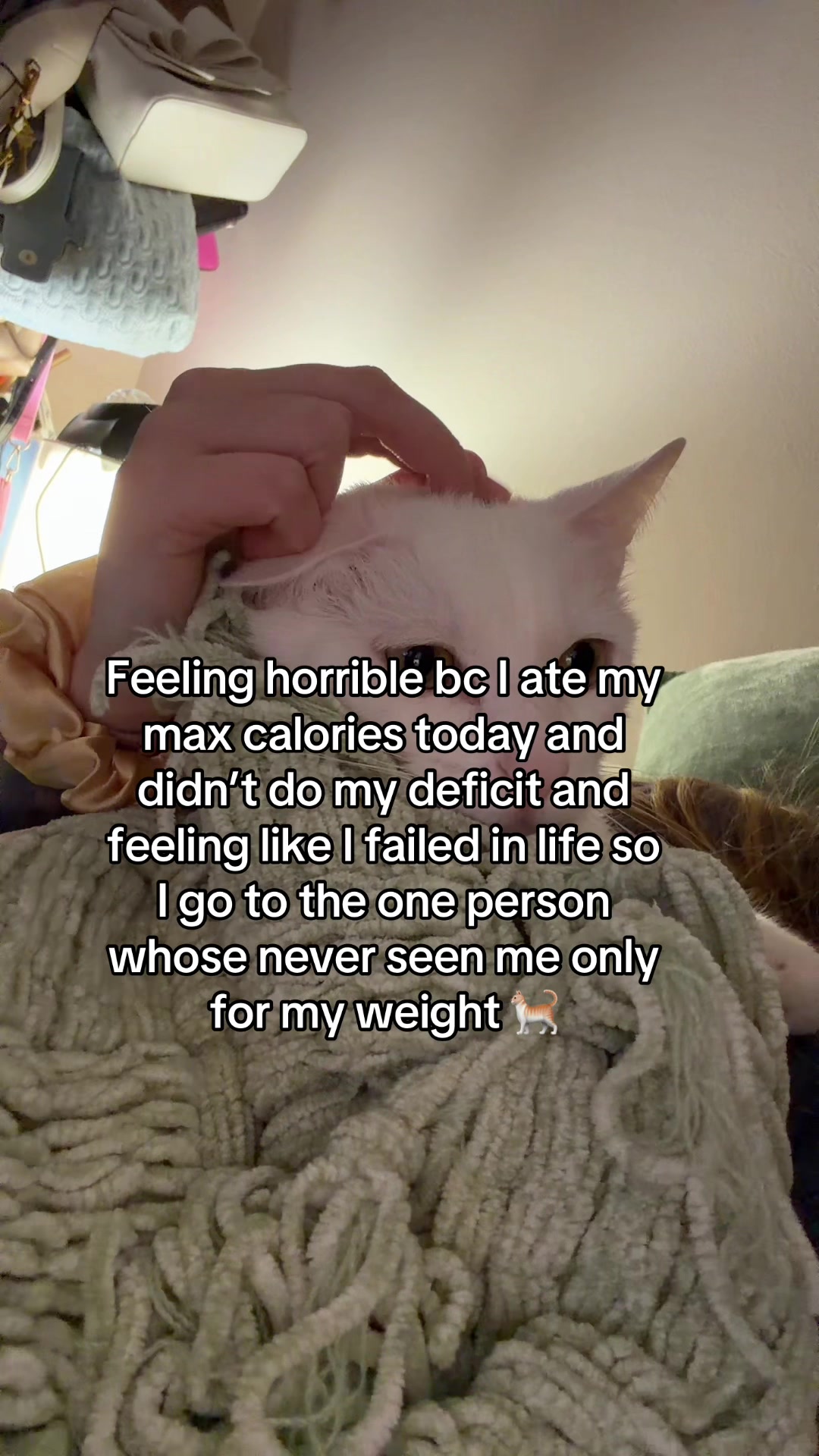 @Bre and muffin