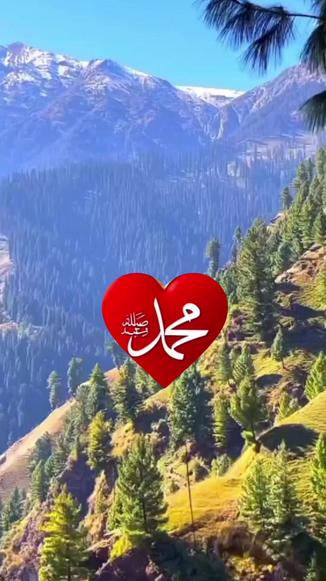 @Zile Huma