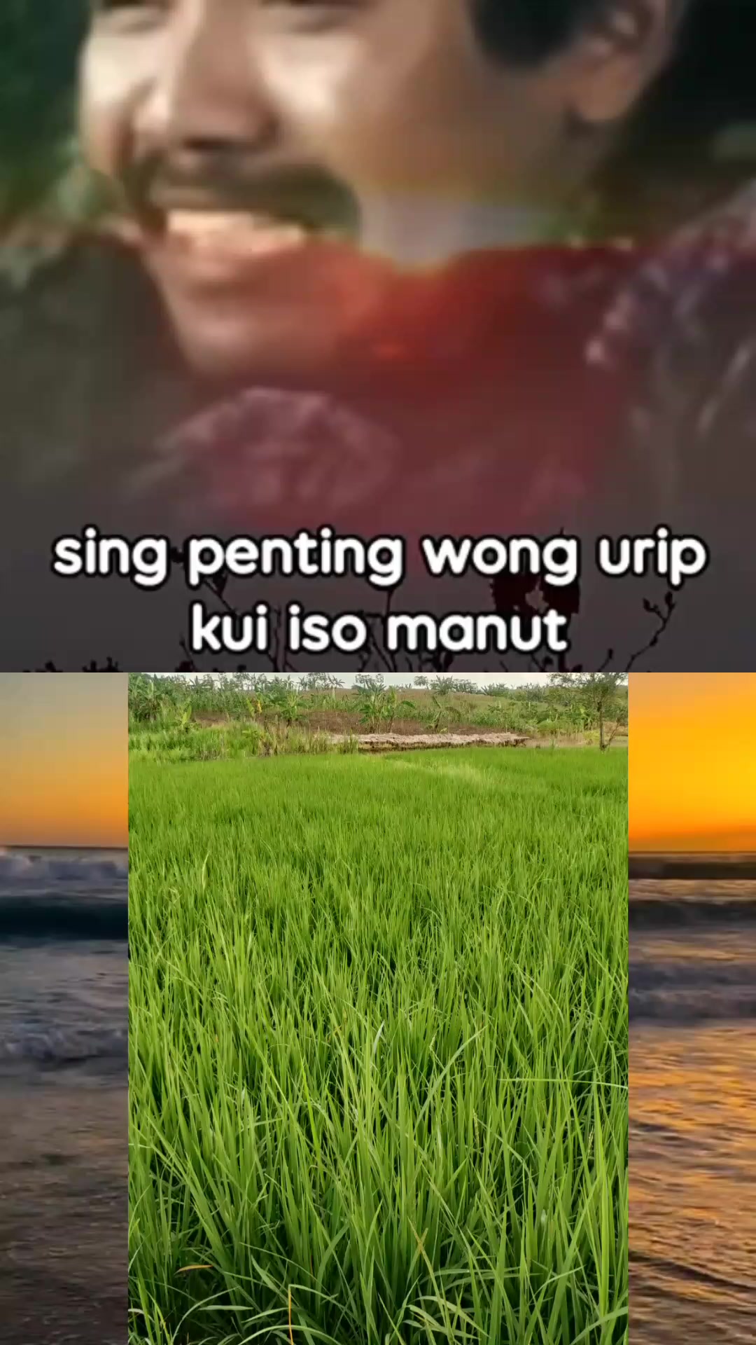 @petani melenial